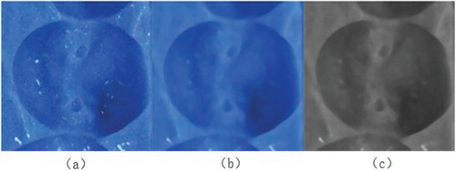 Figure 5. Results of smoothing.