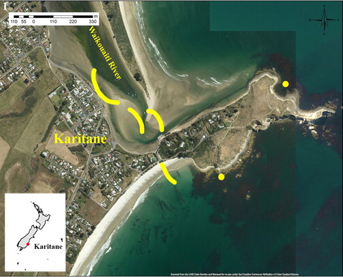 Figure 1. Aerial view of the mouth of the Waikouaiti River, Karitāne, north of Dunedin (−45.641023, 170.658784) showing drift accumulations of Bonnemaisonia estuarine shores with map inset of New Zealand.
