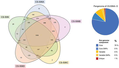 Figure 3. Comparative genomics of the five R. raciborskii CS-506i, A-D genomes, with a Venn diagram of shared and unique proteins (OrthoVenn2), and pie-chart of pangenome with proportion of genes in the core genome, variable genome, and genes with SNPs.