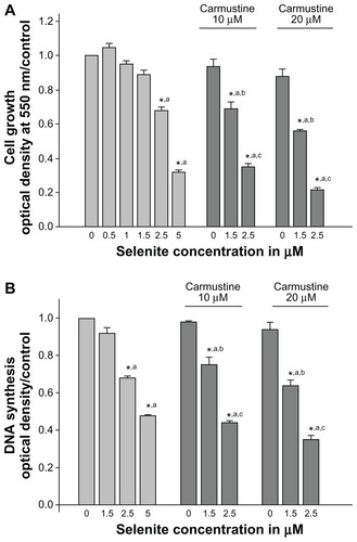 Figure 2 Nontoxic doses of selenite enhance growth inhibition and inhibit DNA synthesis in PC-3 cells sensitized with carmustine. PC-3 cells were pretreated with 10 or 20 μM carmustine for 30 minutes and then treated with different concentrations of selenite (0.5–5 μM) for 96 hours. (A) Cell growth and (B) DNA synthesis were then determined as described in the Materials and methods section. The data are presented as the mean ± standard deviation. (*P < 0.05; n = 3) and expressed as optical density at 550 nm for cell growth; optical density at 405 nm for DNA synthesis. Data are normalized to the control. Comparisons shown: (a) significant compared with control; (b) significant compared with 1.5 μM selenite-treated cells; (c) significant compared with 2.5 μM selenite-treated cells.