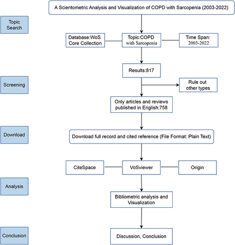 Figure 1 Flow chart illustrating the scientometric analysis process.