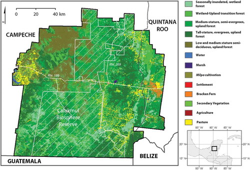 Figure 2. Study area in the southern Yucatán, Mexico (2010 land-cover data shown).