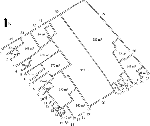 Figure 2. Insula IX,1 (see location in Figure 1), showing its division into individual houses, defined so that one property is formed by all spaces that are connected to each other by doors.