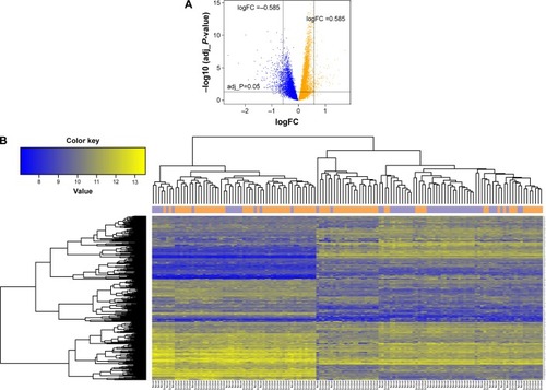 Figure 1 (A) The distribution of DEGs. The orange color represents upregulated genes and blue color represents downregulated genes. (B) The tree diagram of hierarchical clustering analysis of DEGs for smoker and nonsmoker samples. The purple and orange vertical bars above the heat map, respectively, represent lung adenocarcinoma samples of smokers and nonsmokers.