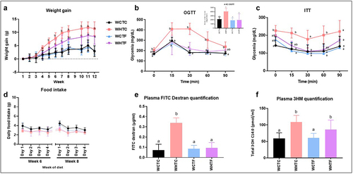 Figure 5. Transplantation of fat-1 microbiome decreases weight gain, enhances metabolic parameters and alleviates intestinal alteration in mice fed a HFD.