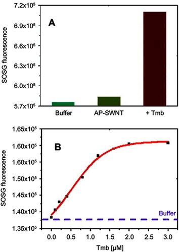 Figure 1 SOG regulation by aptamer-binding protein.Notes: (A) SOSG signal readout after 10.5 mins of irradiation with excitation at 404 nm. SWNTs showed great quenching for SOG. After introduction of 2.0 μM thrombin, SOG was increased. (B) SOSG signal plotted as a function of Tmb concentration. The purple line indicates the buffer’s SOSG signal. Reprinted with permission from Zhu Z, Tang Z, Phillips JA, Yang R, Wang H, Tan W. Regulation of singlet oxygen generation using single-walled carbon nanotubes. J Am Chem Soc. 2008;130(33):10856–10857.Citation50 Copyright (2008) American Chemistry Society.Abbreviations: SOG, singlet oxygen generation; SOSG, singlet oxygen sensor green; SWNTs, single-walled carbon nanotubes; Tmb, thrombin.