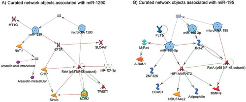 Figure 4. Networks of miR-1290 and miR-195 with experimentally validated target genes. The green lines connecting the nodes represent activation, whereas the red lines connecting the nodes represent inhibition. The arrow indicates the direction of the association.