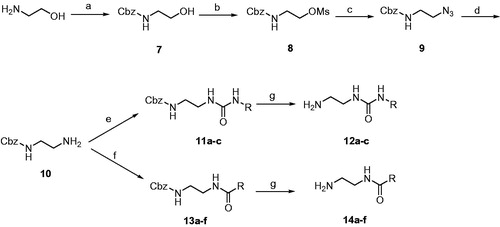Scheme 2. Reagents and conditions: (A) benzyloxycarbonyl chloride, TEA, CH2Cl2, 0 °C; (B) methanesulfonyl chloride, TEA, CH2Cl2, 0 °C; (C) NaN3, DMSO, 70 °C, 2 h; (D) PPh3, MeOH, H2O, reflux, 2 h; (E) appropriate isocyanate, THF, rt, 2 h; (F) appropriate carboxylic acid, HOBt, EDCI, TEA, DMF, 80 °C, 8 h; (G) H2/Pd-C, MeOH, rt, 1 h.