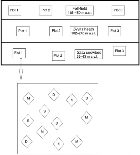 Fig. 1  Scheme of the experimental design: in each of the three plant communities—fell-field, Dryas heath and Salix snowbed—three plots were chosen, which were separated by a few hundred metres from each other; within a radius of ca. 10 m in each plot, three patch types were analysed: M=mosses; D=Dryas; and S=Salix. Four 25×25 cm quadrats (subsamples) of each of these three patch types were chosen randomly within each plot.