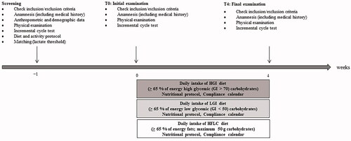 Figure 1. Overview of the study schedule.