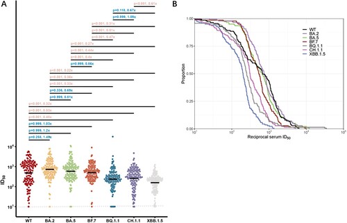 Figure 3. Neutralization of the WT and Omicron subvariants at 1 month after BA.5/BF.7 breakthrough infection. (A) Neutralization of pseudotyped WT and Omicron sub-lineage viruses at 1 month after breakthrough infection with Omicron BA.5/BF.7. P value was compared using Kruskal–Wallis test with Dunn’s multiple comparison correction and the fold-change was calculated by comparing the left geometric mean to the right one. (B) Cumulative distribution function plots of titres against WT and Omicron subvariants. The proportion indicated samples at or above a given titre. Dashed Line: The Lower Limit of Detection.