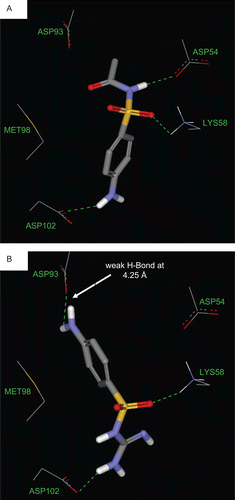 Figure 4.  Docked poses of (A) sulfacetamide and (B) sulfaguanide in Hsp90.