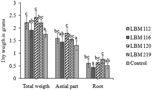 Figure 8. In vivo assay results. Representation of total, aerial part and root dry weight in grams. Standard error is represented with bars. The letter above the bars indicates homogenous group formation.
