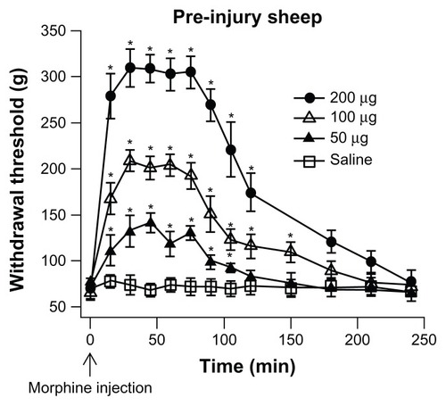 Figure 4 Time course of IT morphine effect.