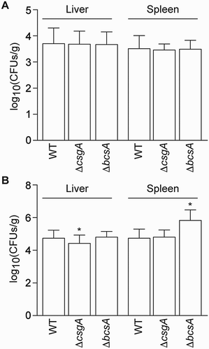 Figure 6. Virulence assays in chickens. The bacterial loads in one-day-old SPF chickens at (A) 12 h and (B) 48 h post-challenge are shown.