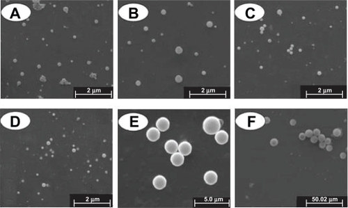 Figure 2 Morphology of particles detected by SEM. A, B, C, D, E, and F denote PLA-n, PELA10-n, PELA20-n, PELA30-n, PELA10-1, and PELA10-10, respectively.