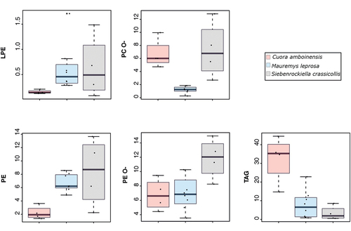 Figure 5. Boxplots showing the amount (mol%) of five lipid classes differing in three turtle species. Abbreviations: LPE = lyso-Phosphatidylethanolamine; PC O- = Phosphatidylcholine-ether; PE = Phosphatidylethanolamine; PE O- = Phosphatidylethanolamine-ether; TAG = Triacylglycerol.