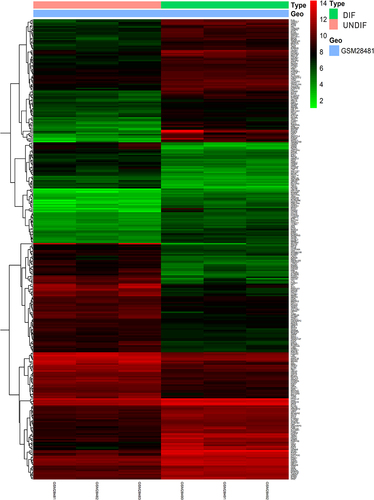 Figure 1. Heatmap of 328 DEGs screened by limma package in R software. Red areas represent upregulated genes and green areas represent downregulated genes in the DIF and UNDIF group. DEG: differentially expressed gene; DIF: differentiated white adipocyte; UNDIF: undifferentiated preadipocytes.