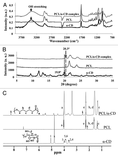 Figure 2. WAXD spectra (A), FTIR-ATR spectra (B) and 1H-NMR spectra of α-CD, PCL and PCL-α-CD IC (C).