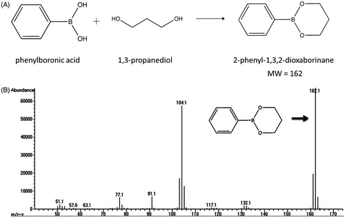 Figure 1. Determination of 1,3-PD in E-LTSL by GC-MS. (A) Derivatized 1,3-PD (MW: 162), (B) Confirmation of presence of derivatized 1,3-PD following two rounds of column purification.