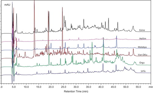 Figure 3 RP-HPLC peptide profiles of the water-soluble fractions of Ezine, Hellim, Malatya, Van Otlu, Orgu, and Urfa cheeses. Peptide profiles of all cheeses were analyzed and run by multivariate statistical analysis; however, only representative samples were shown in this figure. (Color figure available online.)