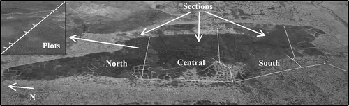 FIGURE 1 Site description. The lake bed was divided into three sections: North, Central, and South. Boardwalks (parallel lines) were located across each section perpendicular to the main axes of the lake-bed. CO2 sampling plots were located along each boardwalk (insert).