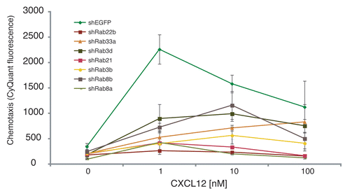 Figure 1 Transwell chemotaxis of SupT1 cells infected with viruses containing shRNA targeting genes encoding the indicated members of the Rab family or EGFP as a control. The number of cells migrating to the lower chamber was determined using CyQUANT as previously described.Citation1 Reductions in the chemokine dose response were significant using ANOVA (p < 0.01 for each of the knock-down cell lines).