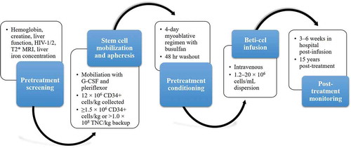 Figure 2. Gene therapy clinical process