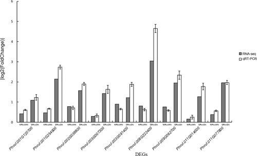 Figure 5. Results of the qRT-PCR analysis of nine randomly selected DEGs to verify the transcriptome data. The gray squares represent RNA-seq data and the white squares represent qRT-PCR data. The |log2(fold-change)| values > 1 reflect differential gene expression, whereas the |log2(fold-change)| values < 1 reflect a lack of differential gene expression.