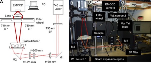 Figure 2 Our custom built fluorescence imaging system.Notes: (A) Schematic and (B) photograph of the fluorescence imager used to acquire image sequences for this work.Abbreviations: M, mirror; LP, longpass filter; BP, bandpass filter; WL, white light; EMCCD, electron-multiplied charge coupled device; PC, personal computer.