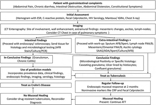 Figure 2. Flow chart to discriminate ITB and CD in regions where TB is endemic (Reproduced from Goyal P, Shah J, Gupta S, Gupta P, Sharma V. Imaging in discriminating intestinal tuberculosis and Crohn’s disease: past, present and the future. Expert Rev Gastroenterol Hepatol. 2019;13(10):995‐1007. with permission.).