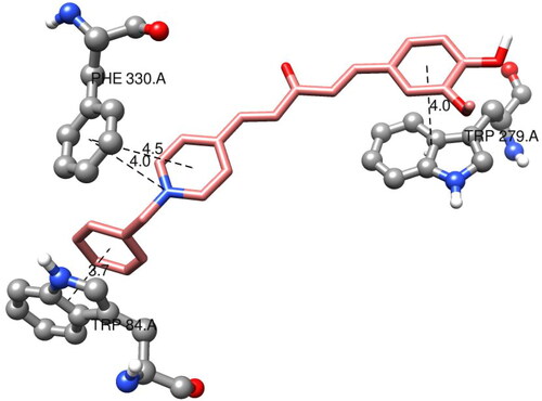 Figure 7. Interaction mode of the target compound 7f in the active site of ACh.