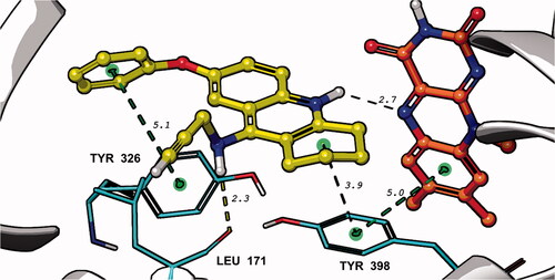 Figure 3. Top-scored binding mode of 15 (yellow) in hMAO-B (PDB ID:3PO7) determined by IFD and QM/MM (DFT M06-2X/CC-PVTZ(-F)++/OPLS_2005) in Schrodinger 2021–4. Only the flavine part of the co-factor FAD (red) was displayed, the rest of the molecule was hidden in the figure. The interaction distances (green – π–π interactions, black – auxiliary measurements) are given in Å.