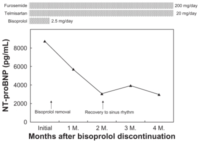 Figure 2 Clinical course and treatment of the patient, and the change in N-terminal pro-brain natriuretic peptide (NT-proBNP). After bisoprolol discontinuation, NT-proBNP gradually decreased. Approximately 2 months later, atrial fibrillation had spontaneously converted to sinus rhythm.