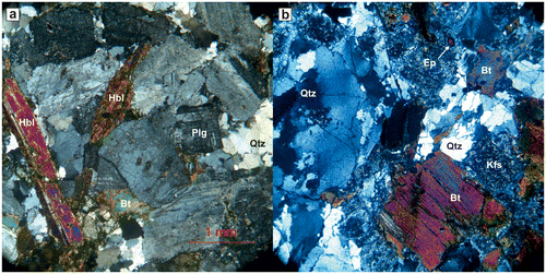 Figure 4. Cross-polarized thin-section photographs of; a- Hornblende bearing granodiorites (KG 07 and 17) and b- Biotite rich granodiorites (KG 27 and 28).