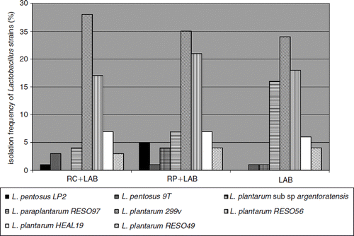 Figure 1. Isolation frequency from cecum content of the different Lactobacillus strains administered to mice with dietary supplements of rosehips and a mixture of polyphenol active Lactobacillus strains (LAB). RC+LAB was given standard diet supplemented with rosehips of R. canina and LAB; RP+LAB, standard diet supplemented with rosehips of R. pimpinellifolia and LAB; LAB group was given standard diet supplemented with LAB.