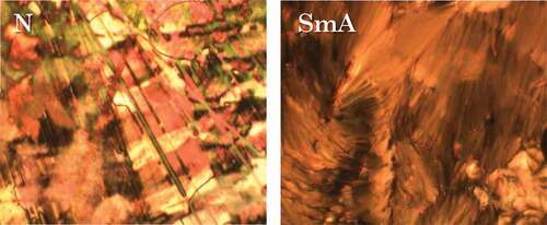 Figure 3. (Colour online) The textures obtained using the polarised light optical microscope for CBO4O.4 in (left) the nematic, and (right) the smectic A phase.