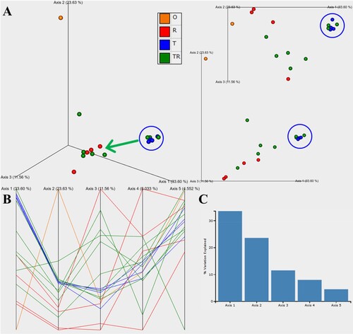 Figure 3. (A) Weighted UniFrac principal coordinates analysis (PCoA) emperor scatter plot at different views using the 3 major axes or coordinates (corresponding to 68.79% of features) shows clustering of the T group (blue circle) with 3 TR samples, while the green arrow indicates that 5 TR samples diverged mostly toward the R group. (B) Parallel plot using (C) the top 5 axes (81.37% of features) also displays the T clustering up to the 4th and 5th axes of some TR samples.