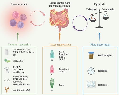 Figure 2. Outstanding issues and treatment strategies for GVHD.