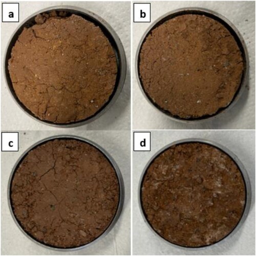 Figure 10. States of RG-stabilized clay after four cycles of shrinkage (a) RG-0 (b) RG-10 (c) RG-20 and (d) RG-25.