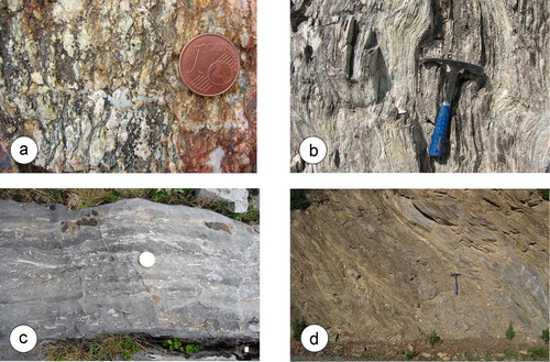 Figure 5. Lithology from LU: (a) Metagranites (CAU); (b) metavolcaniclastic deposits from Metavolcanites and Metavolcaniclastites Fm. (CPU); (c) detritic metalimestone from Detritic Metalimestones Fm. (PPU); (d) metasandstone from Metasandstones Fm. (CPU).