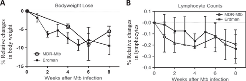 Fig. 4 MDR-Mtb and Erdman-Mtb shared the ability to induce clinical TB manifestations in nonhuman primates.a Percent changes in body weights after infection compared to the baseline values. b Percent changes in blood lymphocyte counts after infection compared to the baseline values. Note that there were no significant differences in body weight or lymphocyte count between MDR-Mtb-infected and Erdman-Mtb-infected macaques. The data are represented as the mean ± SEM and were analyzed by the Mann–Whitney test (nonparametric method)