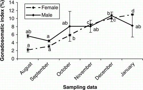 Figure 4.  Changes in GSI values of male and female cultured Caspian brown trout during the experimental period. Means with same superscripts are not significantly different (p>0.05).