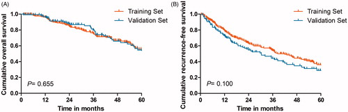 Figure 2. Kaplan–Meier LTP curves of comparation between the training data set and the validation data set.