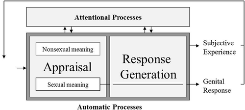 Figure 1. An information-processing model of sexual arousal by Janssen et al. (Citation2000). Journal of Sex Research. Reprinted with permission.