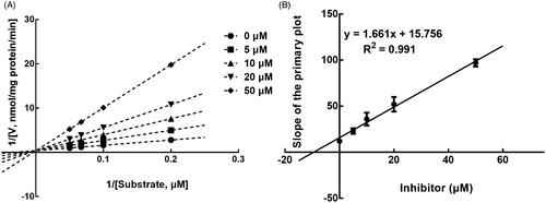 Figure 6. Lineweaver-Burk plots (A) and the secondary plot for Ki (B) of inhibition of succinic acid on CYP2C9 catalysed reactions (diclofenac 4'-hydroxylation) in pooled HLM. Data are obtained from a 30 min incubation with diclofenac (5–20 μM) in the absence or presence of succinic acid (0–50 μM). All data represent the mean of the incubations (performed in triplicate).