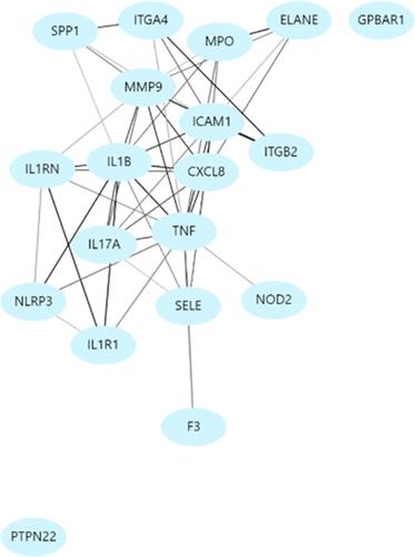 Figure 1 Signaling map of genes (interactome) overlapping in inflammatory bowel disease (UC and CD) and its extra-intestinal manifestations.