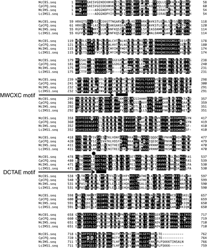 Figure 3. Amino acid sequence alignments of McCBS, CpCPQ, McIMS and LcIMS1. Both DCTAE and MWCXC motifs are highlighted. The black dot indicates the residue two residues upstream of the DCTAE motif.