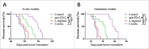 Figure 1. Combination treatment with L-arginine and α-PD-L1 antibody significantly increased survival in mice bearing in situ and metastatic osteosarcoma. (A) The survival curves of mouse bearing in situ osteosarcoma were monitored. (B) The survival curves of mice with metastatic osteosarcoma. n = 10/group. **P < 0.01, ***P < 0.001, and **** P < 0.0001.