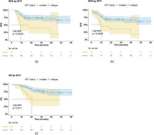 Figure 3. Influence of mutations in WT1on survival. a. Kaplan–Meier estimates of Relapse-free survival (RFS), b.event-free survival (EFS) and c. overall survival (OS) in newly diagnosed patients with CEBPAdouble mutated AML, according to the presence or absence of mutations in WT1.